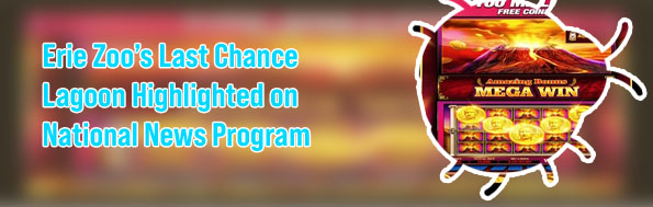 Latest news kuy 138 slot