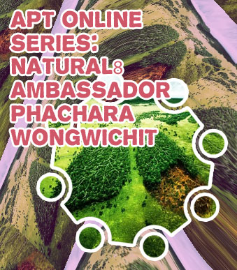 Latest news natural8